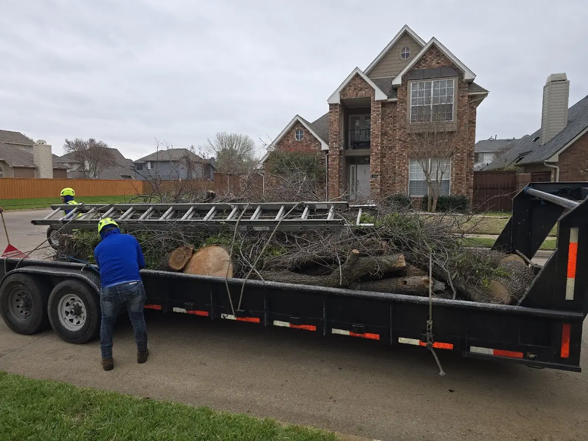 Expert Tree Fertilization with proper safety equipment in Ratcliff